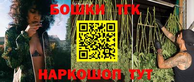 PSILOCYBIN Новозыбков
