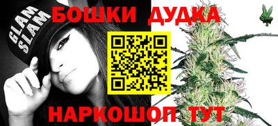 PSILOCYBIN Новозыбков