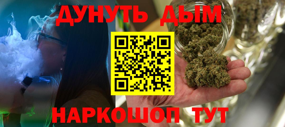 Бошки Шишки планчик Сальск